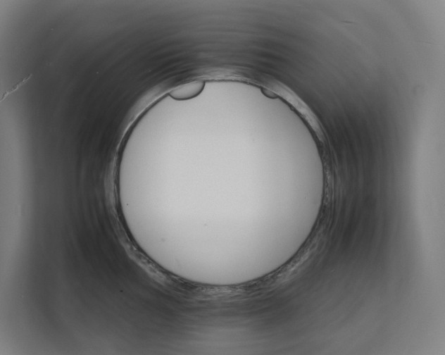 X0000112151002200908211410