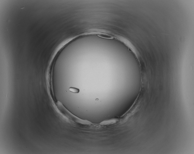 X0000112151003200908211410