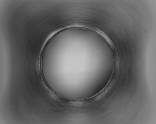 X0000112151004200908211410