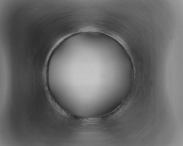 X0000112151008200908211410