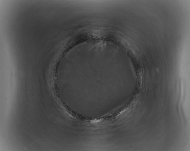 X0000112151009200908211409