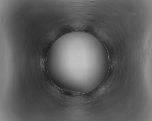 X0000112151010200908211409