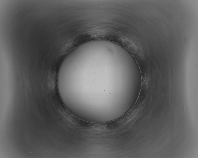 X0000112151012200908211409