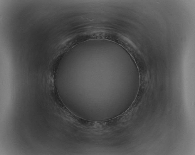 X0000112151013200908211409