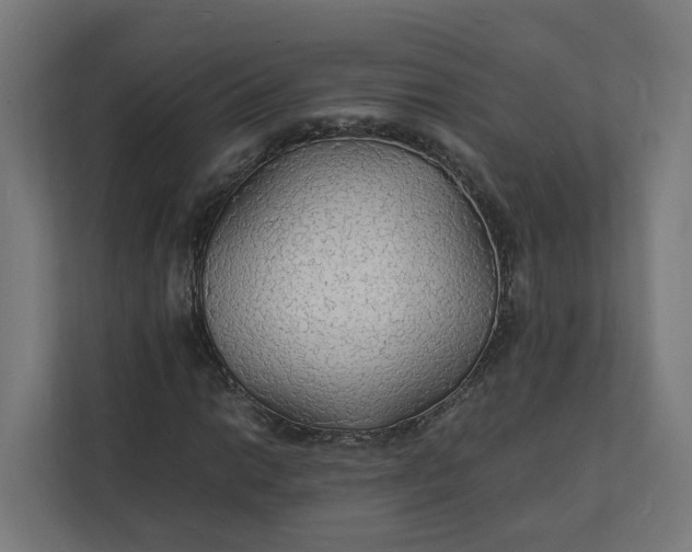 X0000112151014200908211409