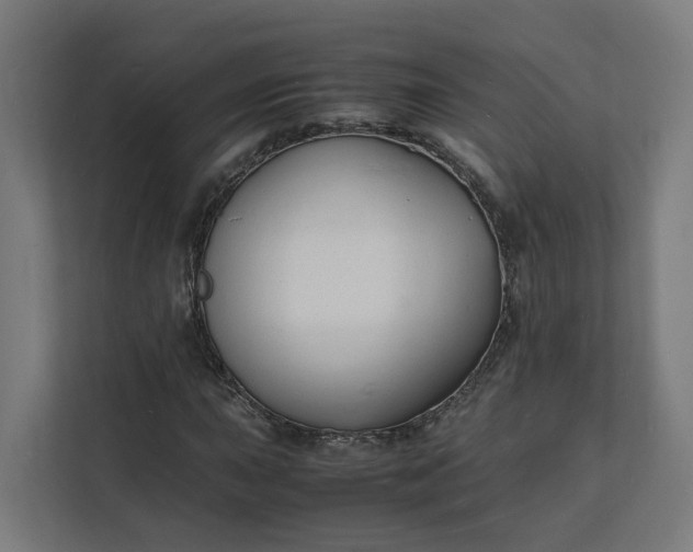 X0000112151015200908211409