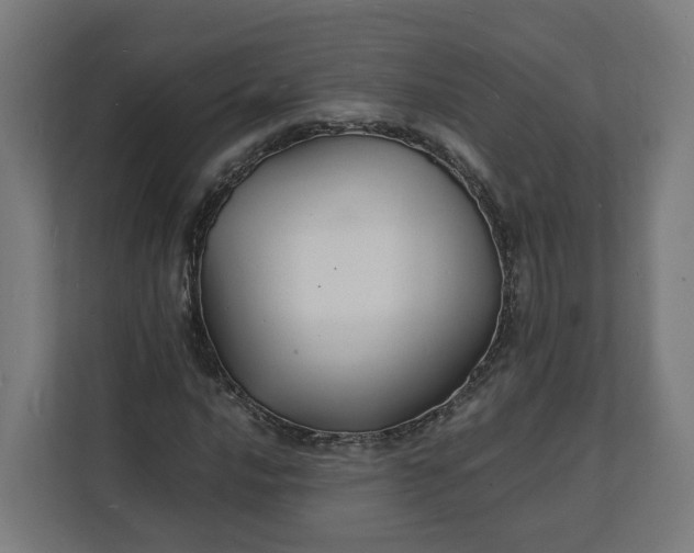 X0000112151016200908211409