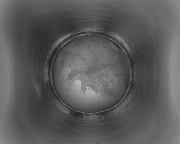 X0000112151019200908211409