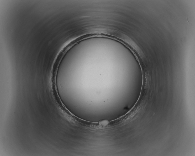 X0000112151020200908211410