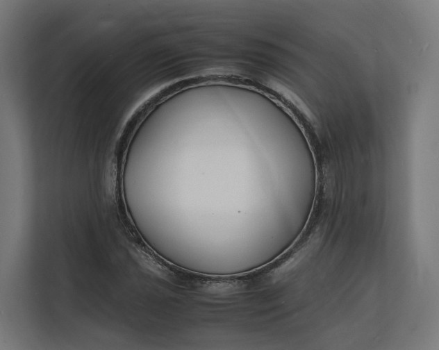 X0000112151021200908211410