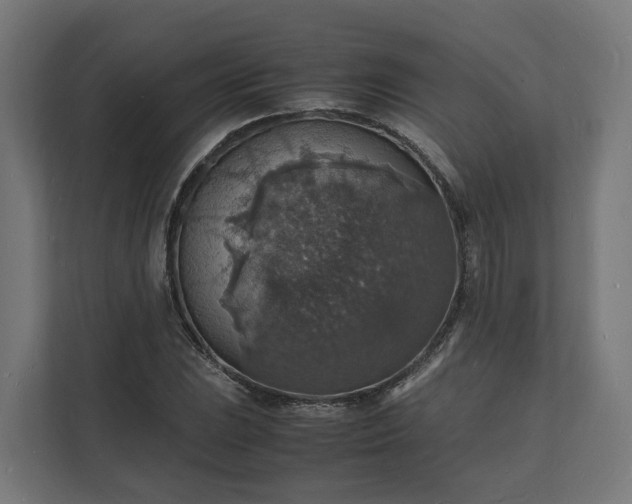 X0000112151023200908211410