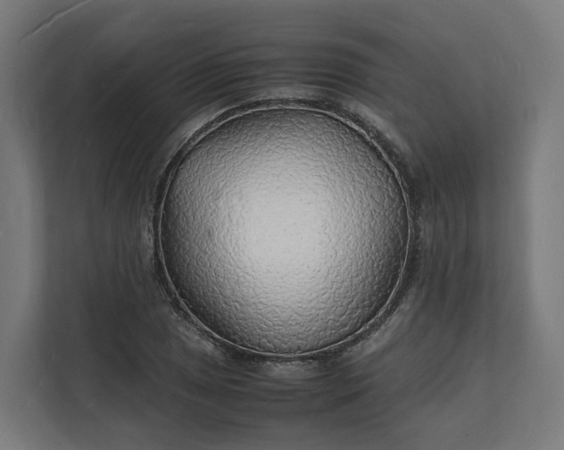 X0000112151025200908211410