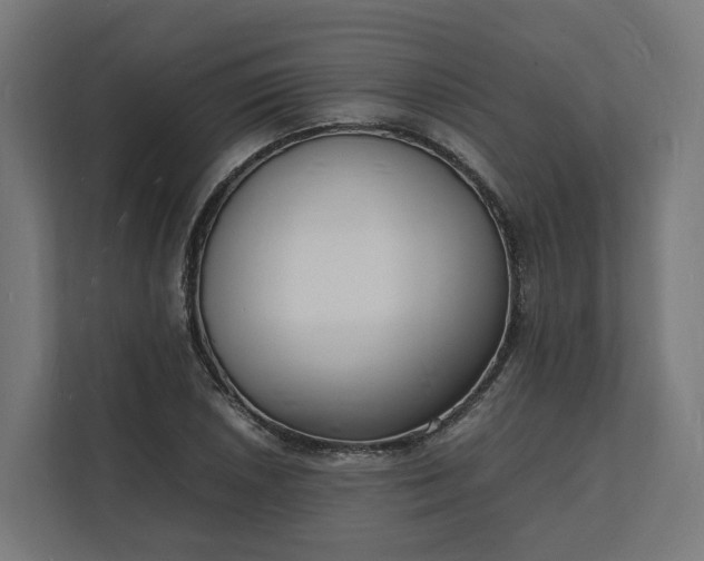 X0000112151026200908211410