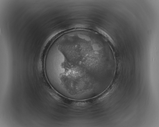 X0000112151027200908211410