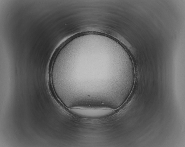 X0000112151028200908211410