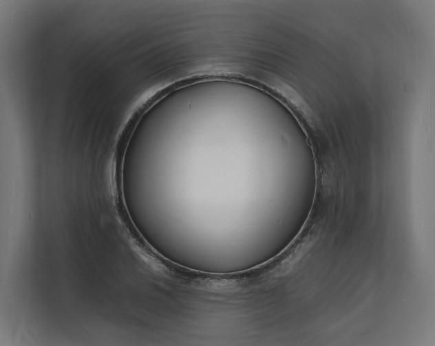 X0000112151030200908211410