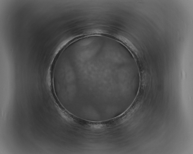 X0000112151031200908211410