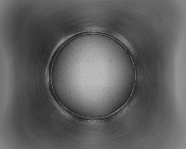 X0000112151032200908211410