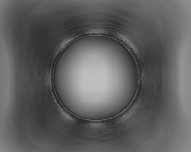 X0000112151033200908211410