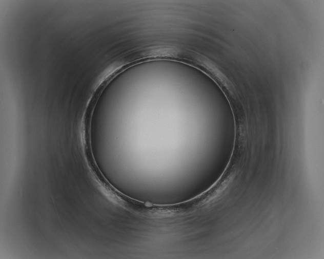 X0000112151034200908211410