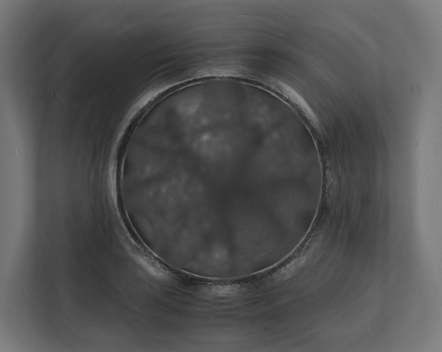 X0000112151035200908211410