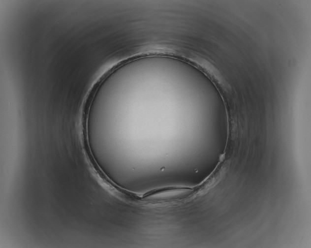 X0000112151038200908211410