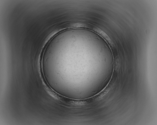 X0000112151039200908211410