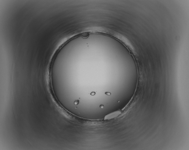 X0000112151040200908211410