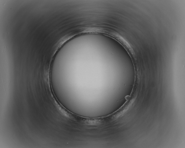 X0000112151041200908211410
