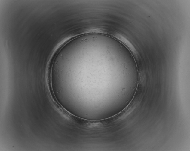 X0000112151043200908211410