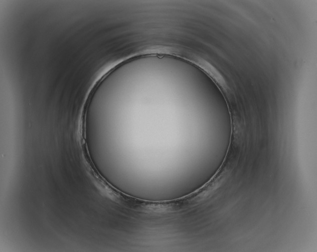 X0000112151044200908211410