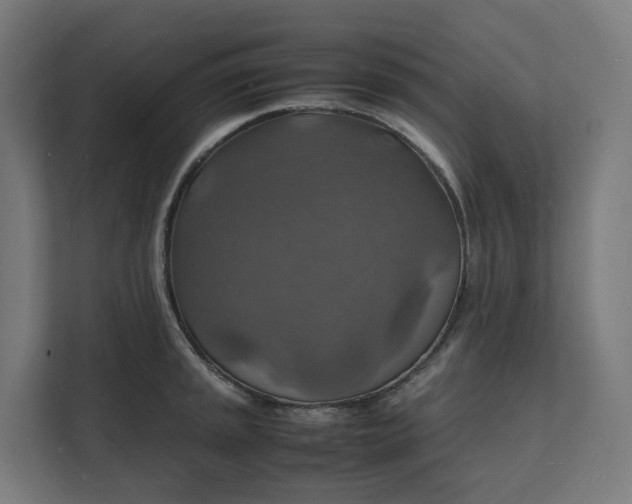 X0000112151045200908211410