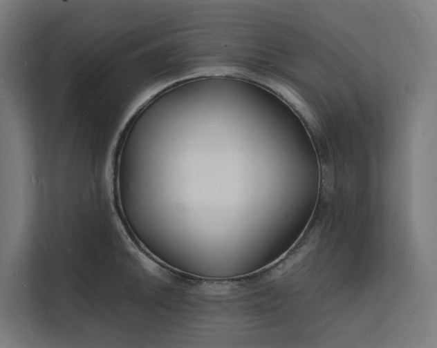 X0000112151046200908211410