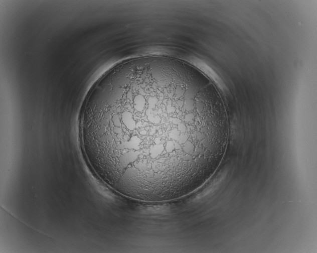 X0000112151047200908211410