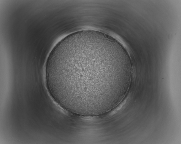X0000112151048200908211410