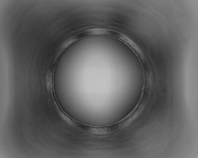 X0000112151049200908211410