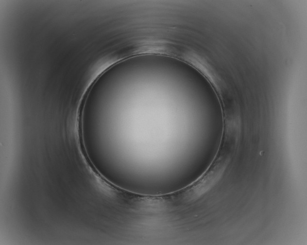 X0000112151050200908211410