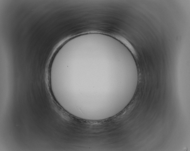 X0000112151051200908211410