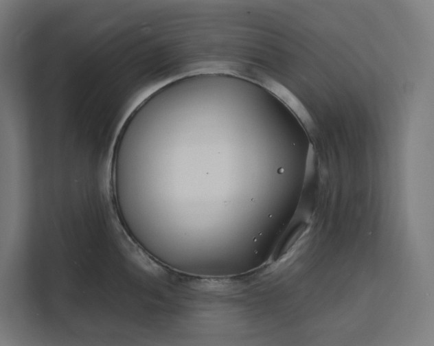 X0000112151052200908211410
