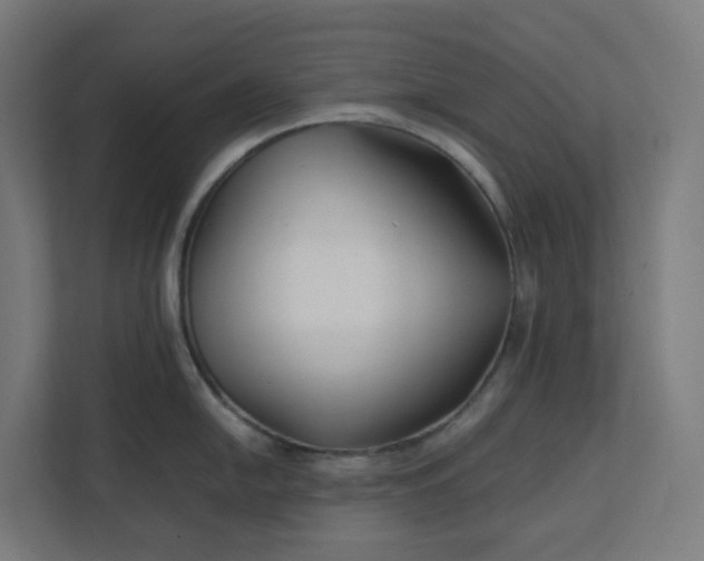 X0000112151054200908211410