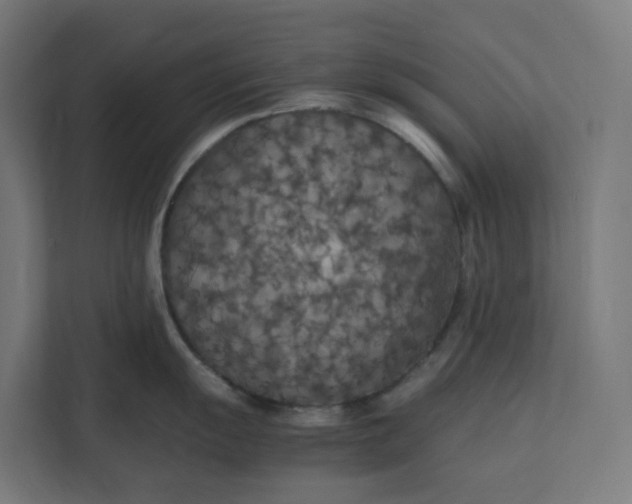 X0000112151055200908211410