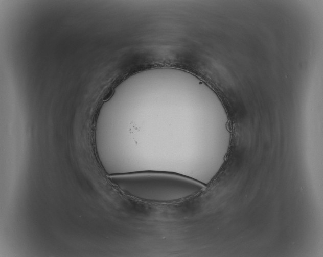 X0000112151057200908211409