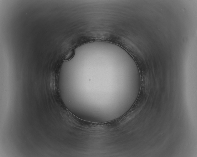 X0000112151058200908211409
