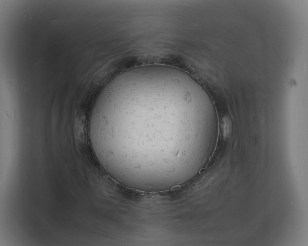 X0000112151059200908211409
