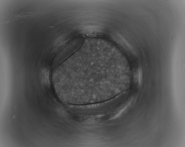 X0000112151060200908211409