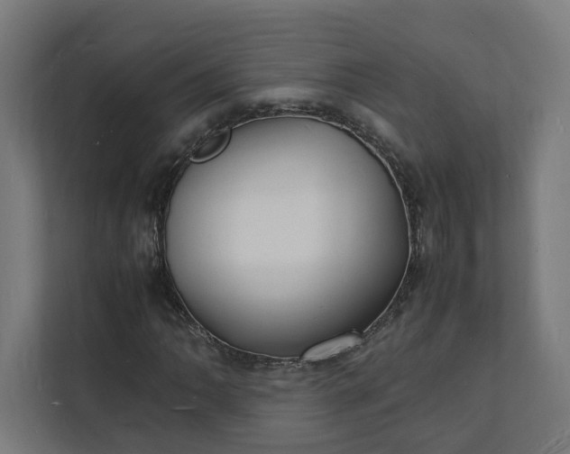 X0000112151062200908211409