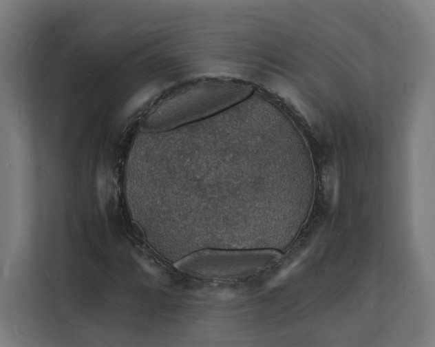 X0000112151064200908211409