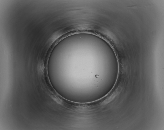 X0000112151065200908211409