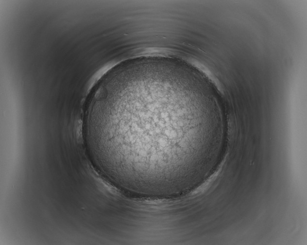 X0000112151066200908211409