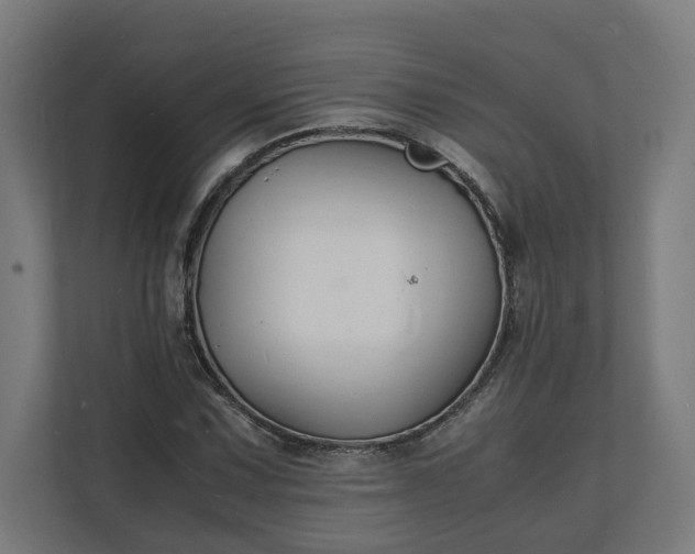 X0000112151067200908211409